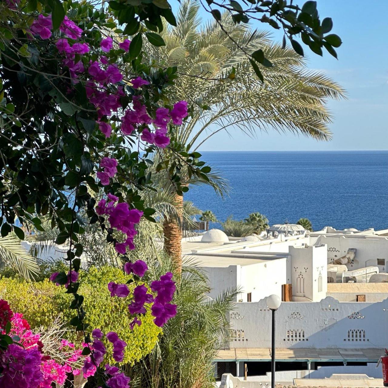 Privata Anita Con Balcone,aquamarine Al Domina Coral Bay, Resort, Diving, & Casino Apartment *
