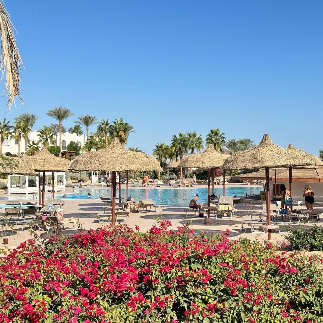 Apartment Privata Anita Con Balcone,aquamarine Al Domina Coral Bay, Resort, Diving, & Casino Sharm el-Sheikh