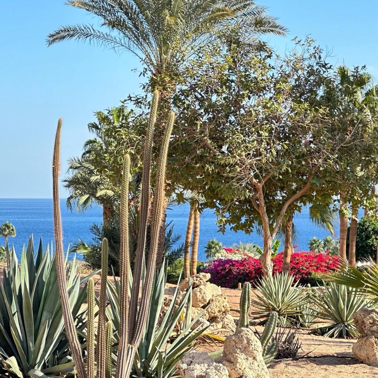 Privata Anita Con Balcone,aquamarine Al Domina Coral Bay, Resort, Diving, & Casino Sharm el-Sheikh