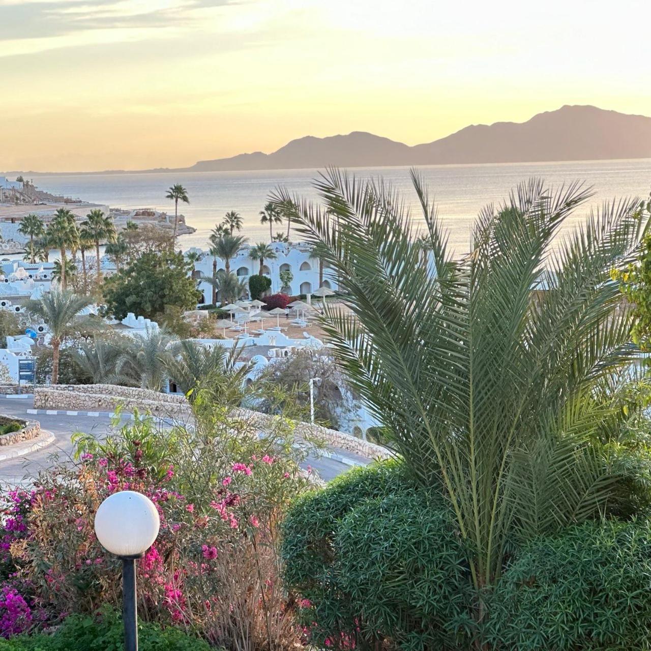 Privata Anita Con Balcone,aquamarine Al Domina Coral Bay, Resort, Diving, & Casino Шарм-еш-Шейх